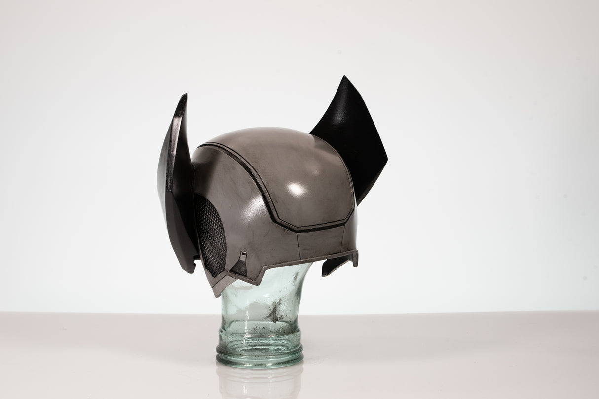 Wolverine Inspired Cosplay or Display Helmet