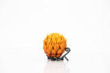 Pirate Power Fruits Display Props - Wulfgar Props