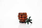 Pirate Power Fruits Display Props - Wulfgar Props
