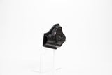 (Inventory Check) Revolver Shell Holster Prop for Cosplay - Wulfgar Props